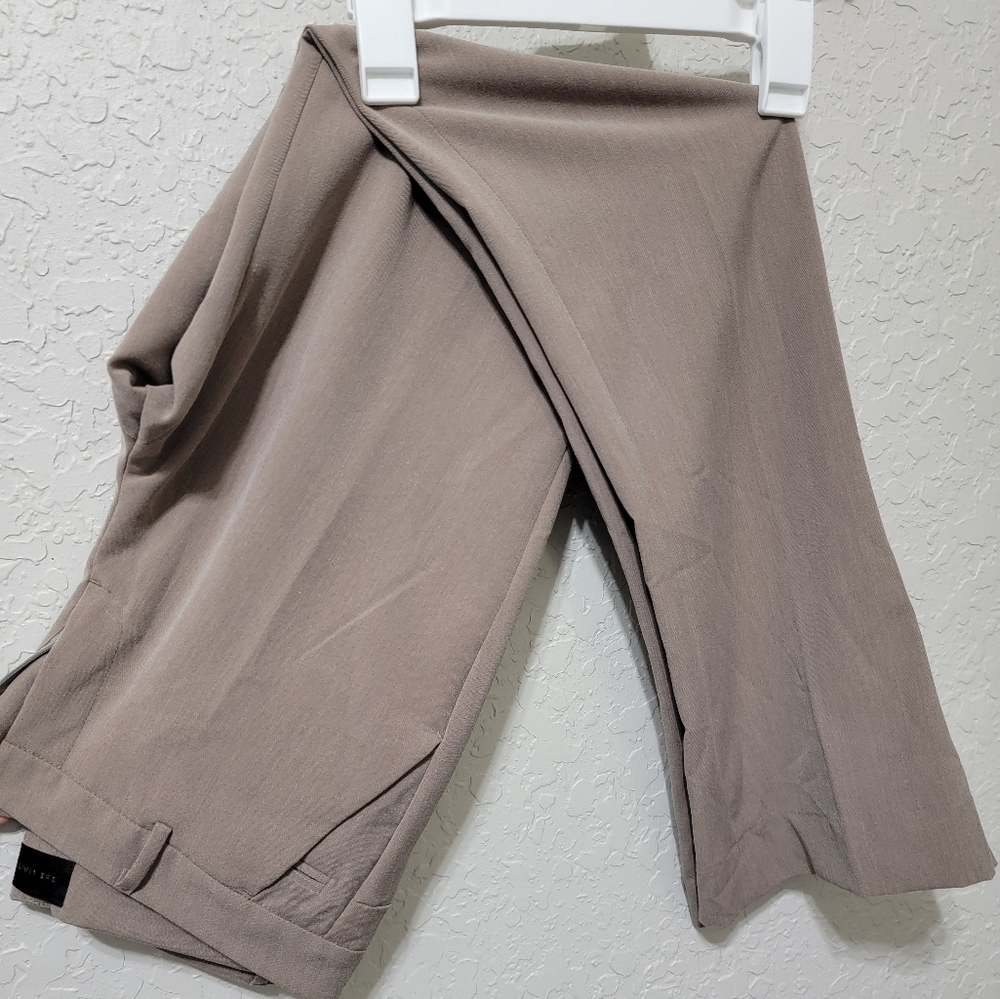 The Limited Dress Pants